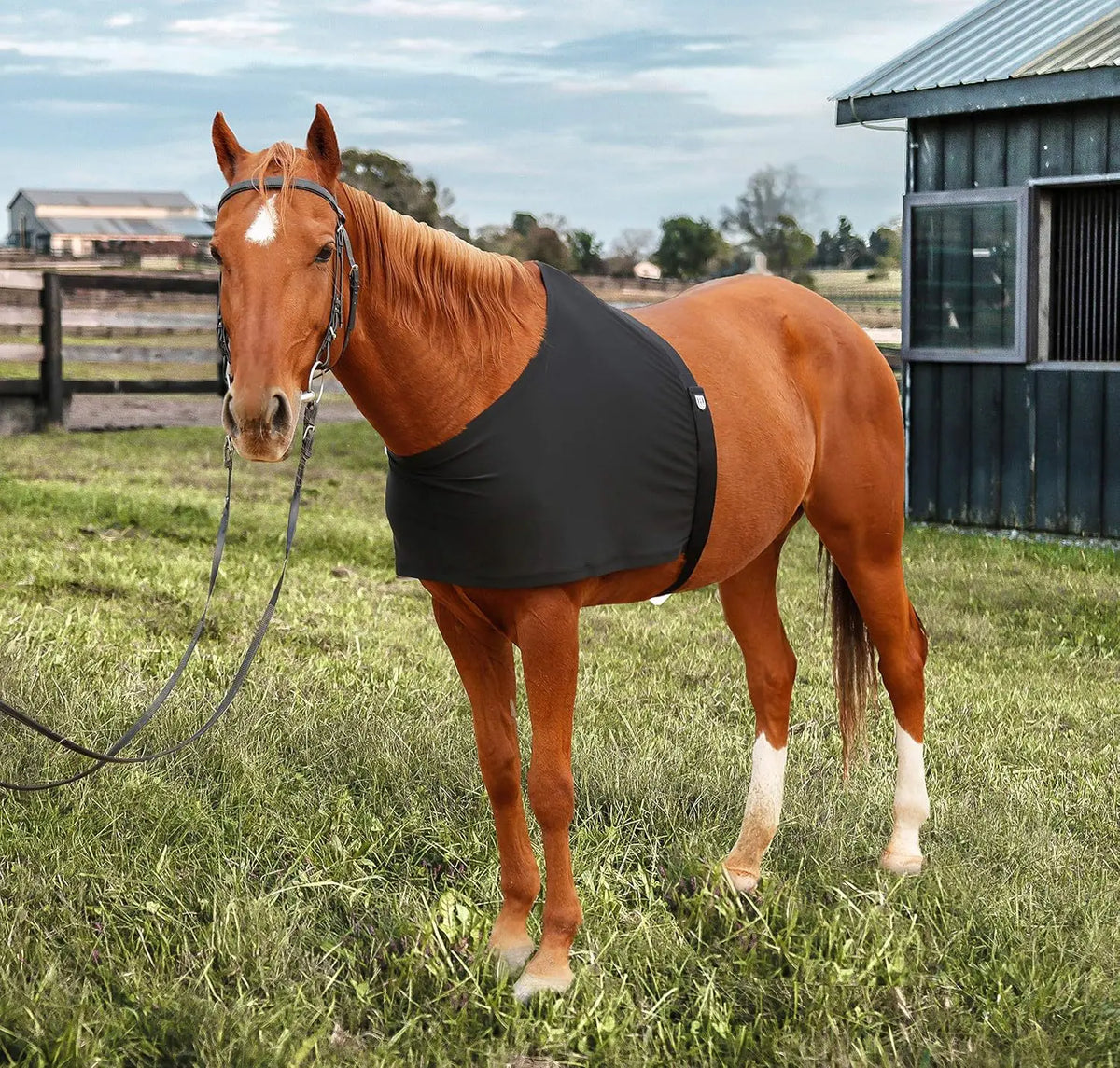 Horse Chest Bibs