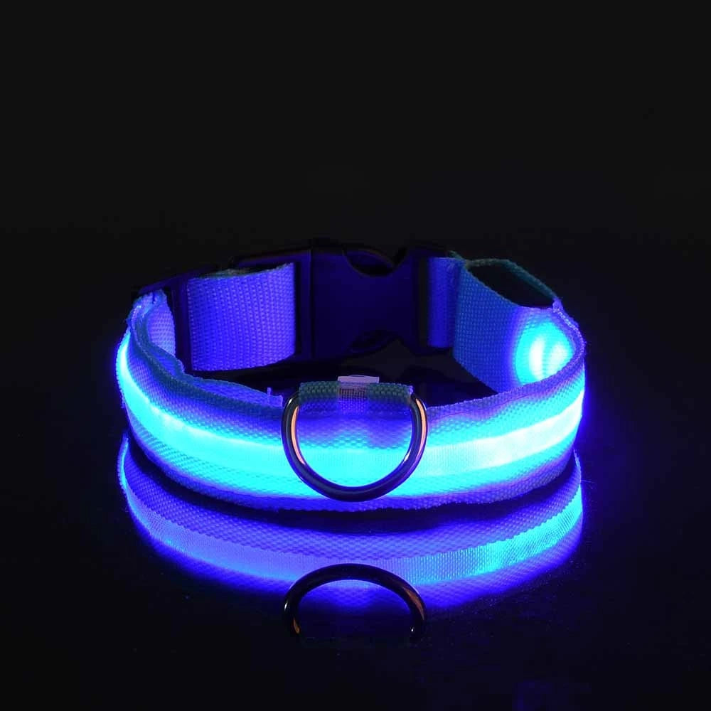 LED Dog Safety Collar — Rechargeable Night Visibility