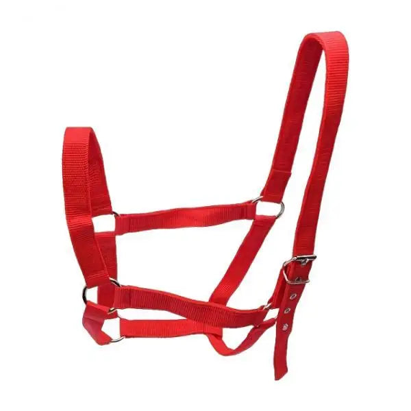 Adjustable Horse Halter