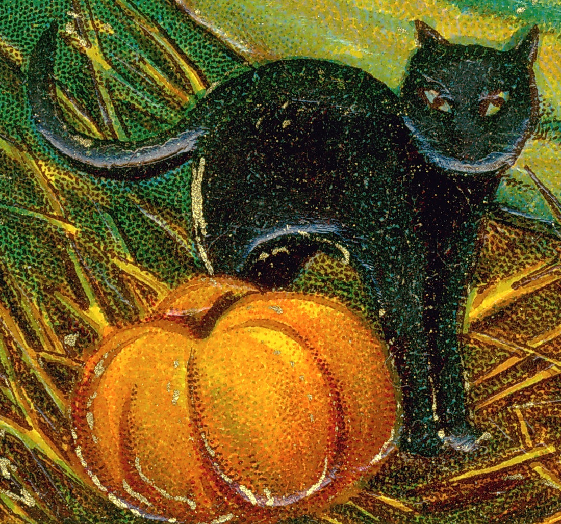 Vintage Halloween art of a black cat with a jack-o-lantern