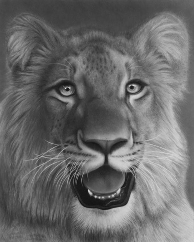 Christian the Lion reuniting with John Rendall and Ace Bourke