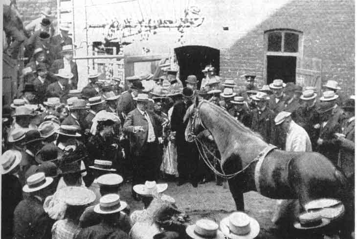 Clever Hans the horse with his owner Wilhelm von Osten in Berlin