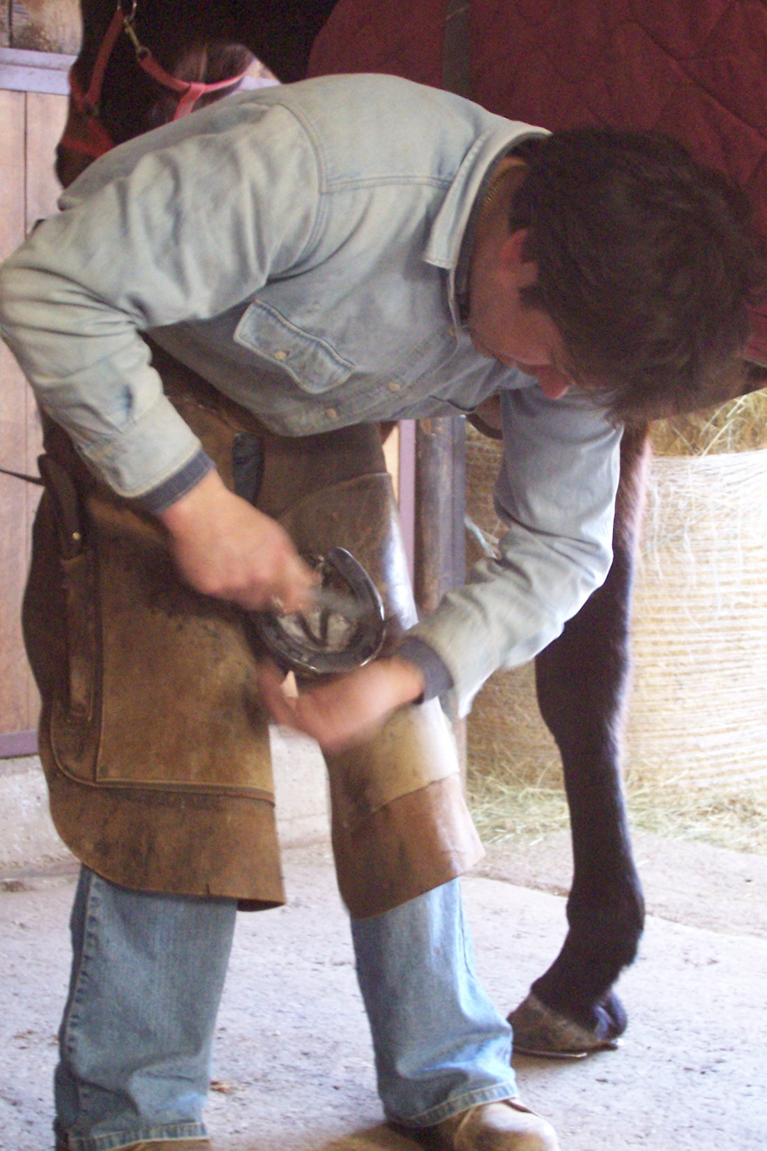 Farrier trimming a horse's hoof