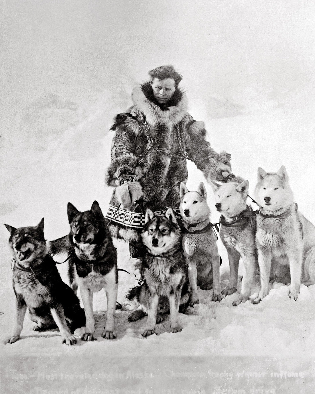 Leonhard Seppala with his sled dogs including Togo