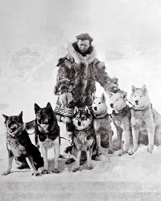 Leonhard Seppala with his sled dogs including Togo