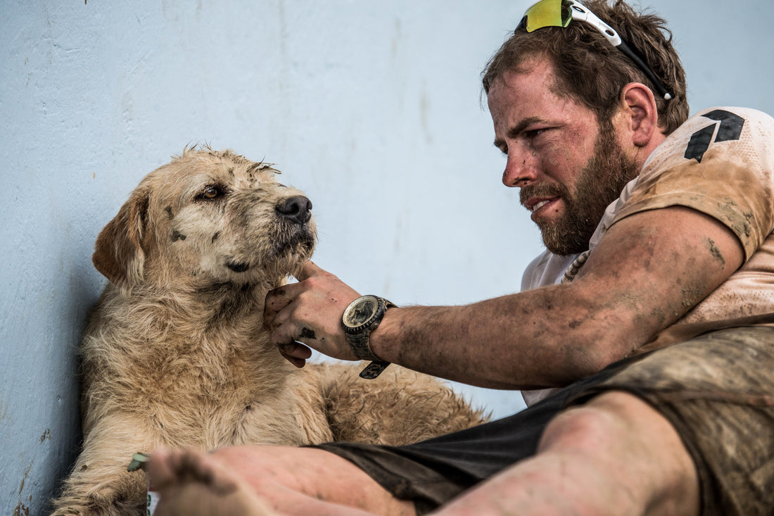 Arthur the stray dog in Ecuador