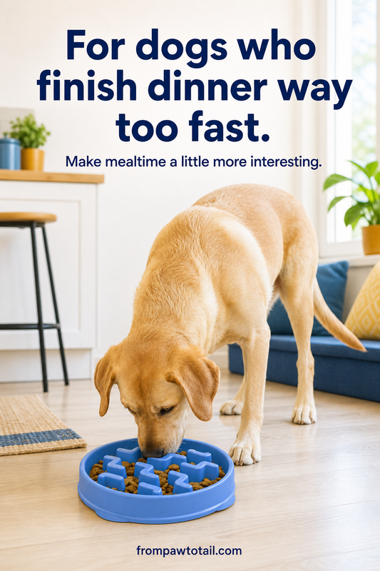 Dog playing with a puzzle toy