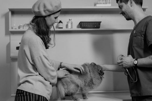 Veterinarian with a pet owner and their dog