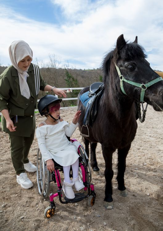 Person working with a horse in a therapy session