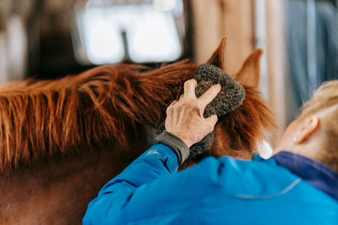 Person grooming a brown horse in a stable with a brush, showing care and bonding