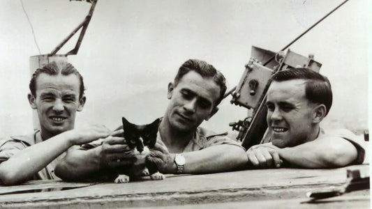 Simon the ship's cat with HMS Amethyst sailors, Plymouth 1949