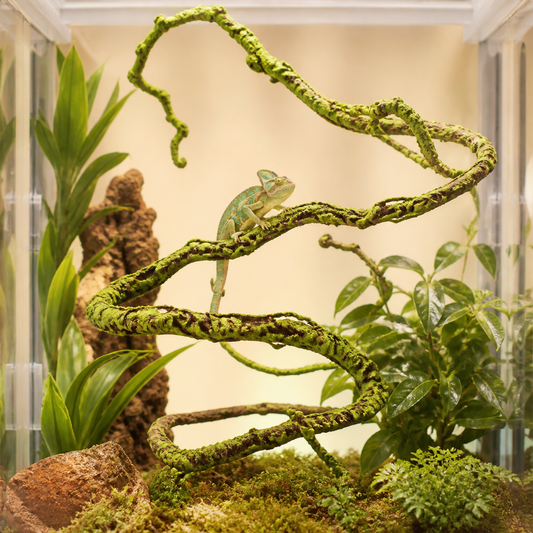 Reptile Bendable Climbing Vine Terrarium Decor