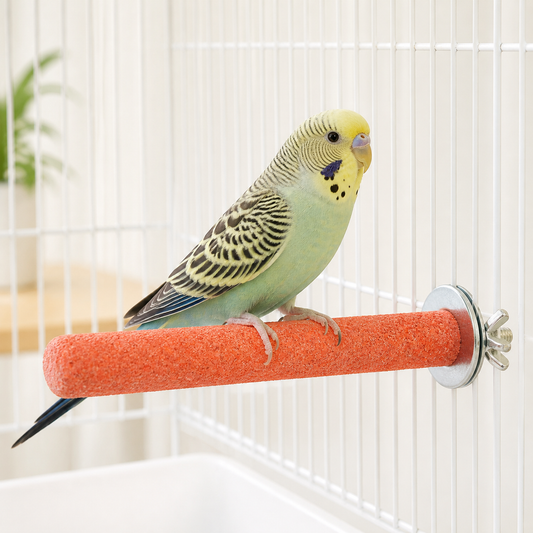 Bird Paw Grinding Perch — Natural Nail Trimmer