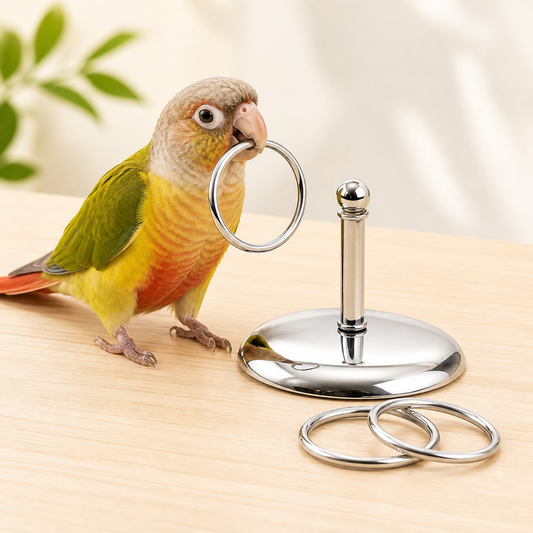 Bird Intelligence Training Ring Set