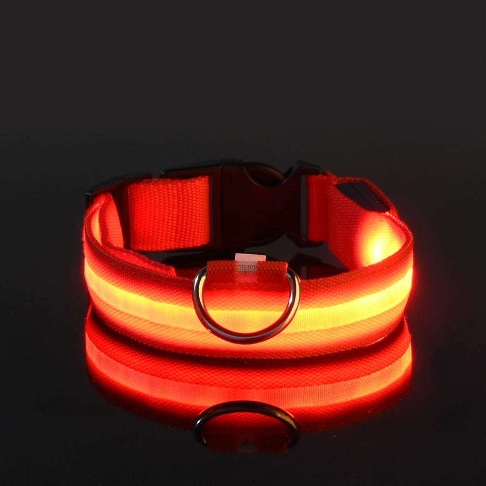 LED Dog Safety Collar — Rechargeable Night Visibility