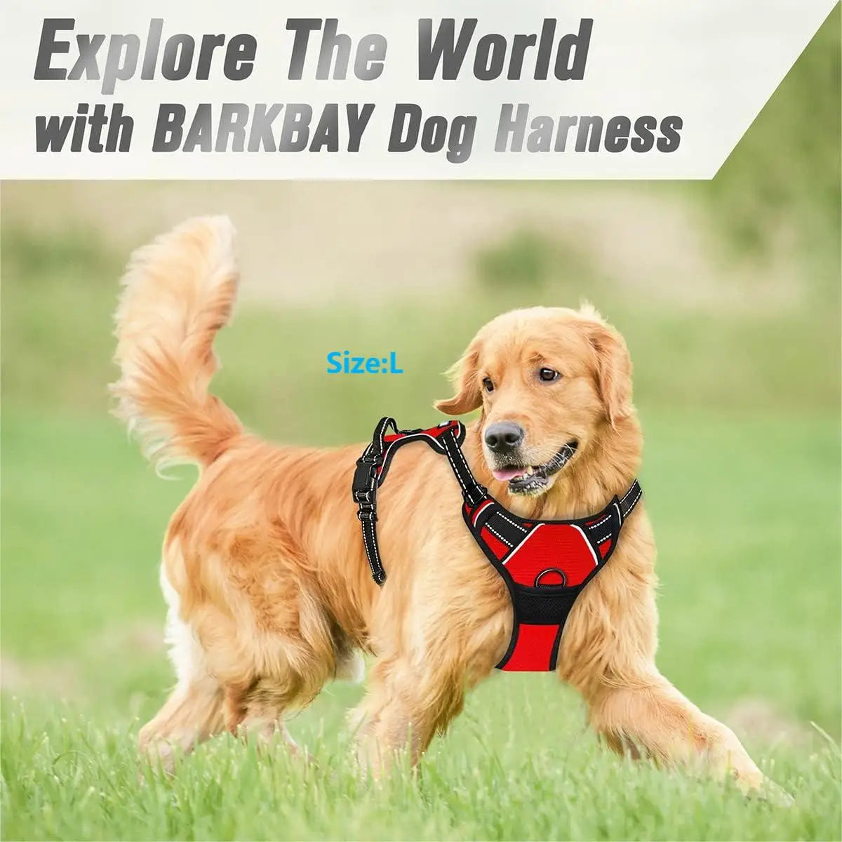 No-Pull Dog Harness — Adjustable Front-Clip Reflective Harness