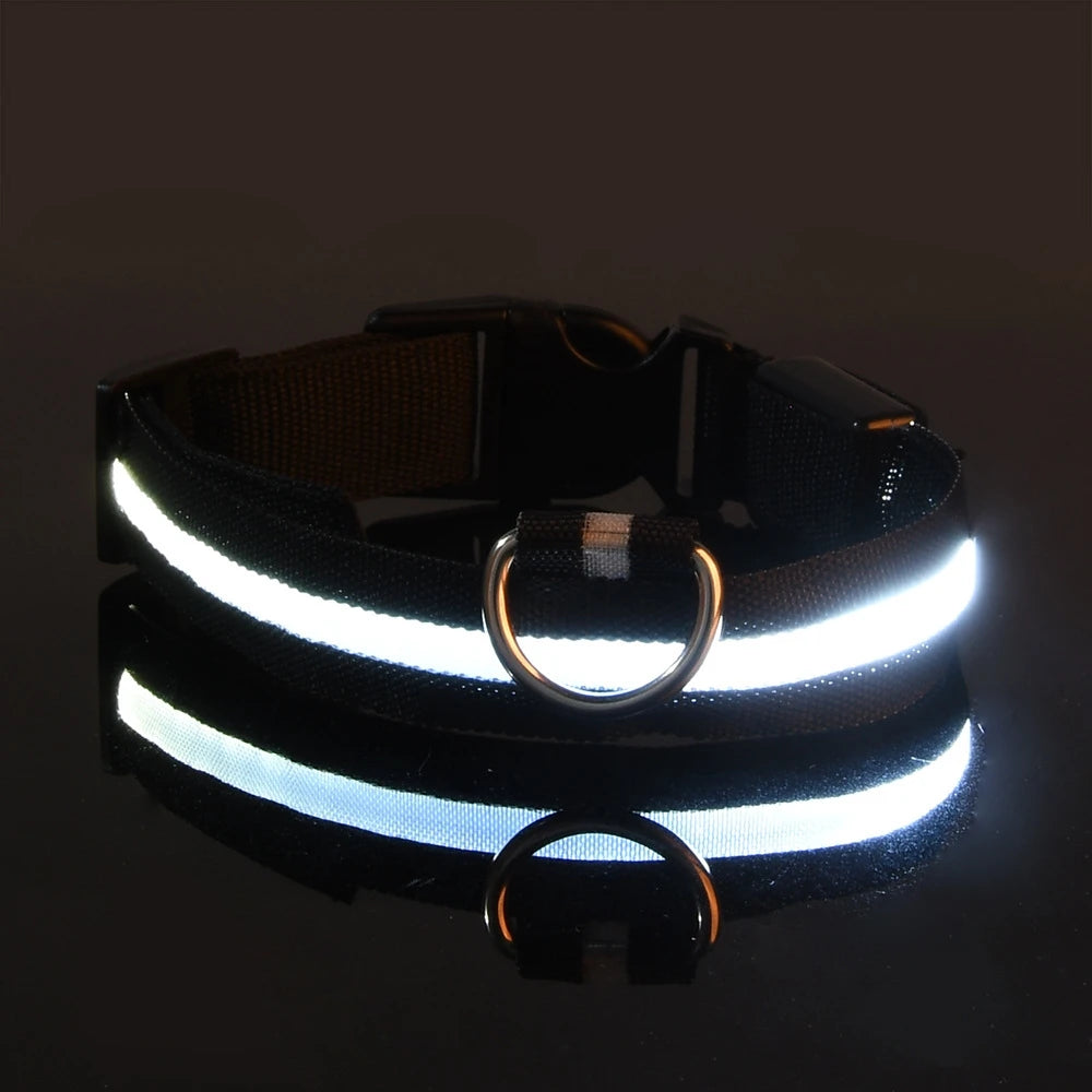 LED Dog Safety Collar — Rechargeable Night Visibility