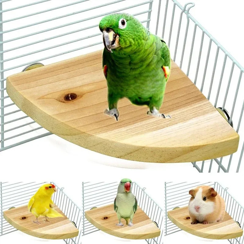 Bird Wood Perch Platform Stand