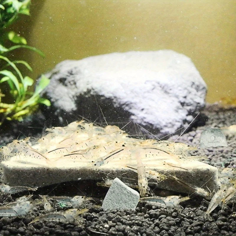 Shrimp Mineral Calcium Stone
