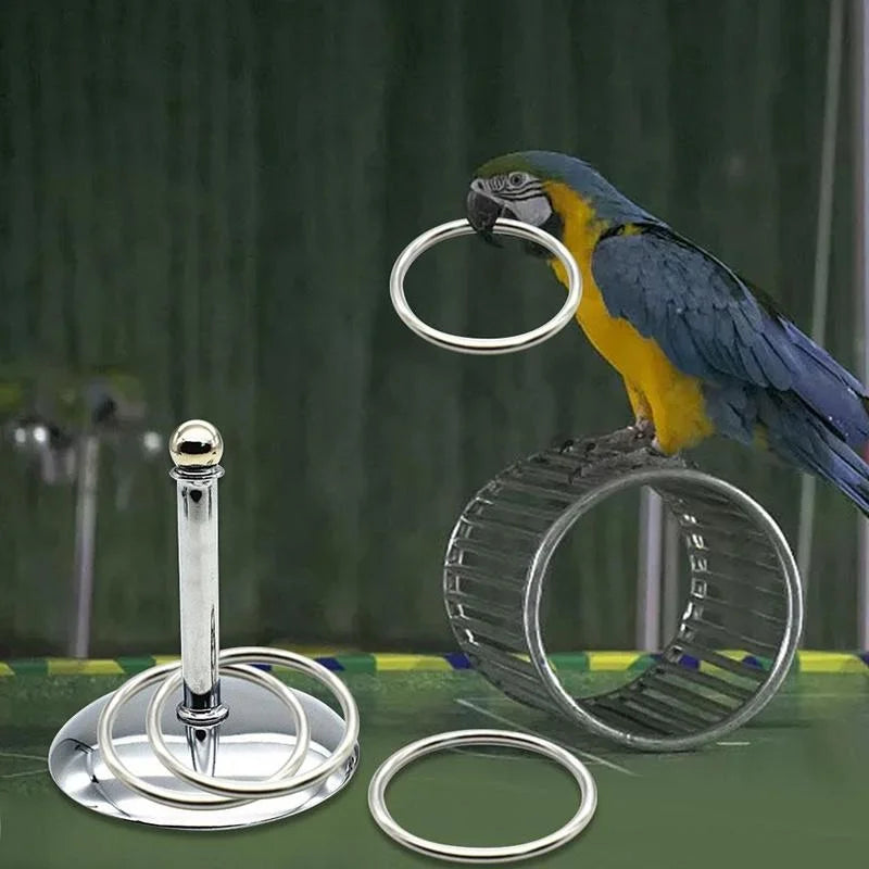 Bird Intelligence Training Ring Set