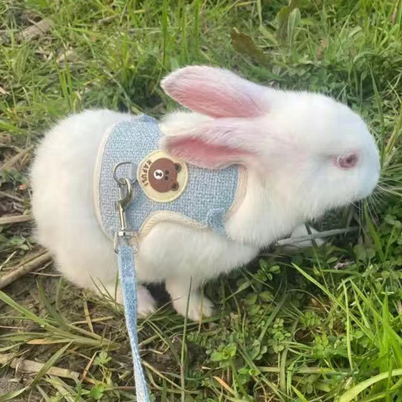 Small Animal Harness & Leash — Rabbit, Guinea Pig, Ferret