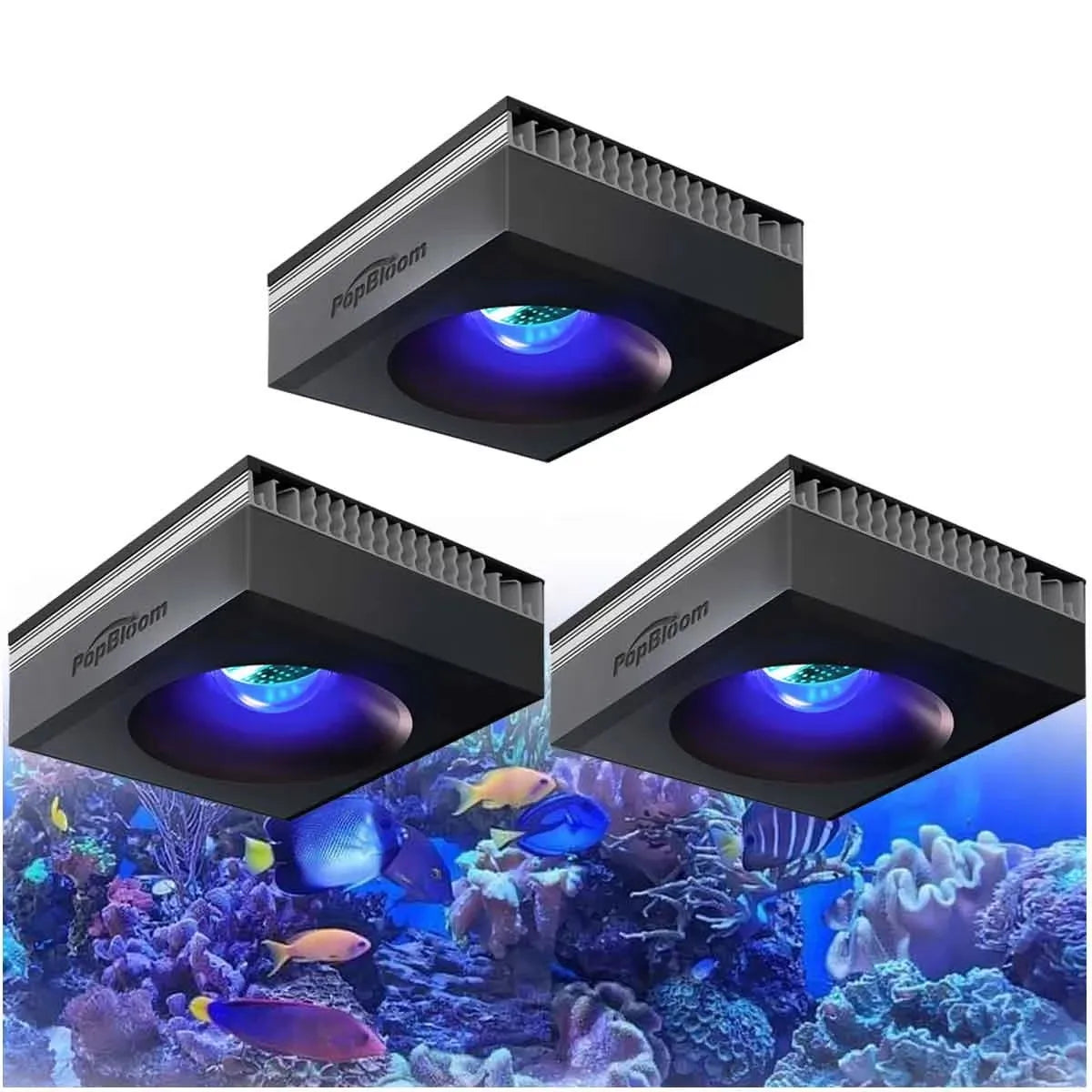 PopBloom RL90 100W WiFi Reef LED Light