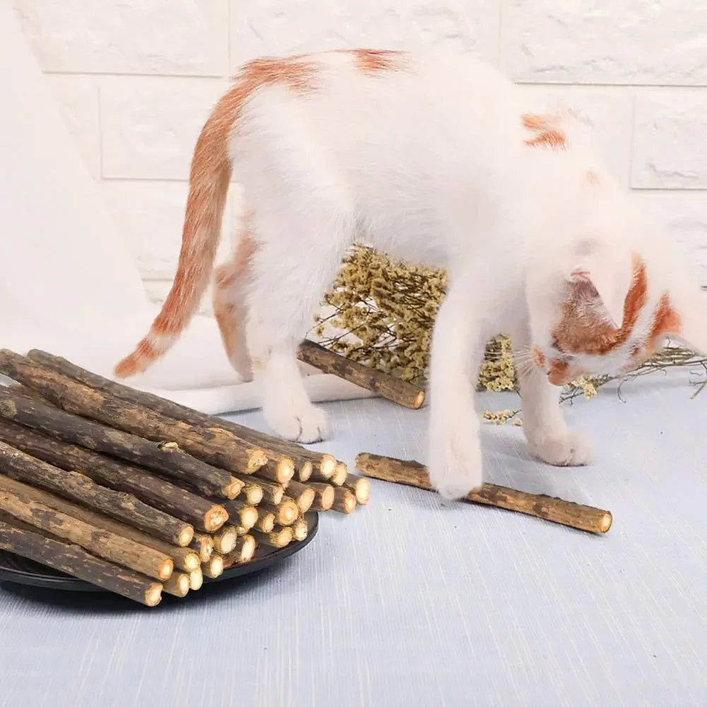Catnip Toy Set — Matatabi Sticks and Plush Mice