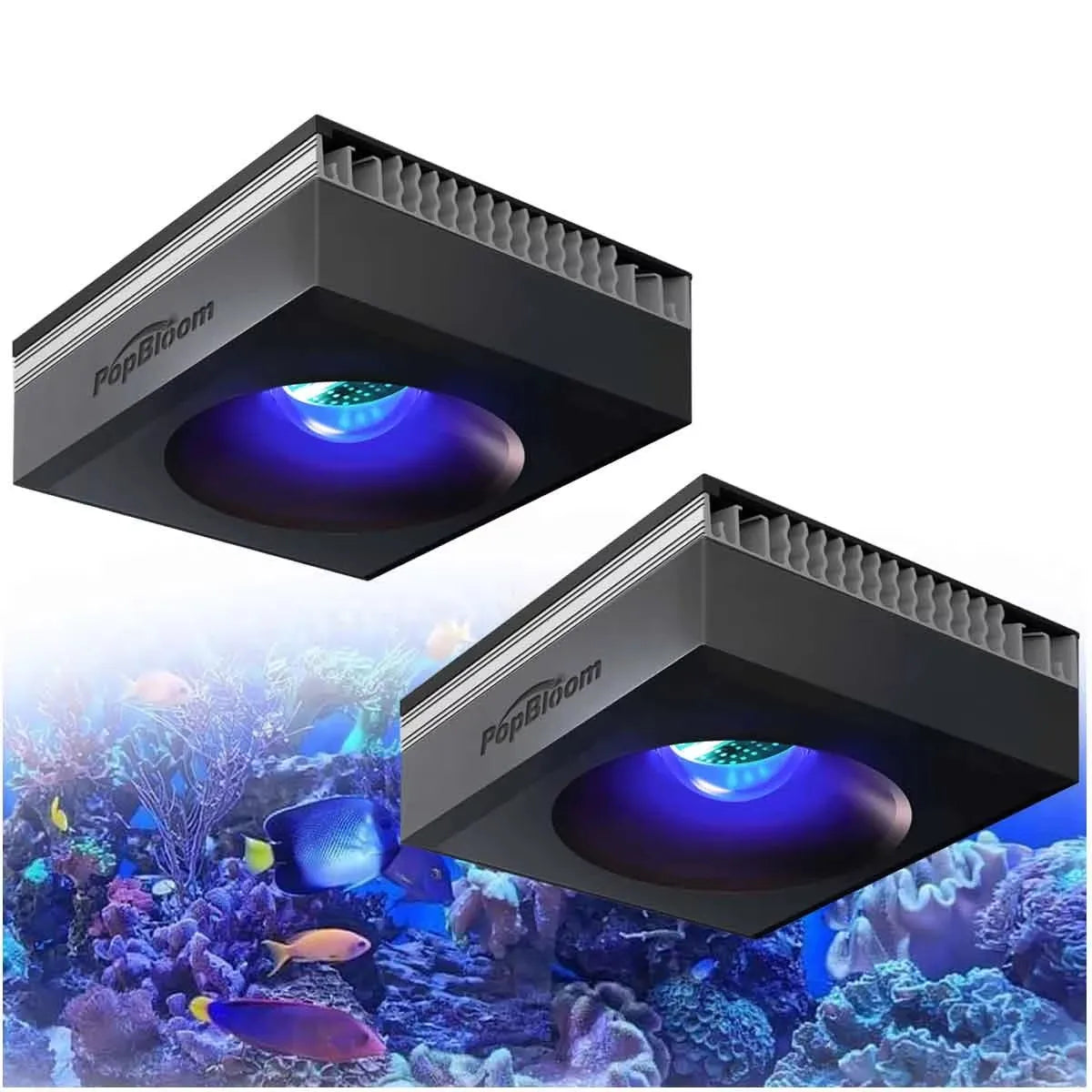 PopBloom RL90 100W WiFi Reef LED Light