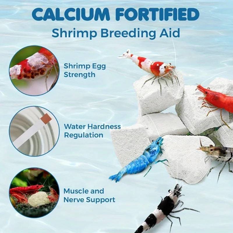 Shrimp Mineral Calcium Stone