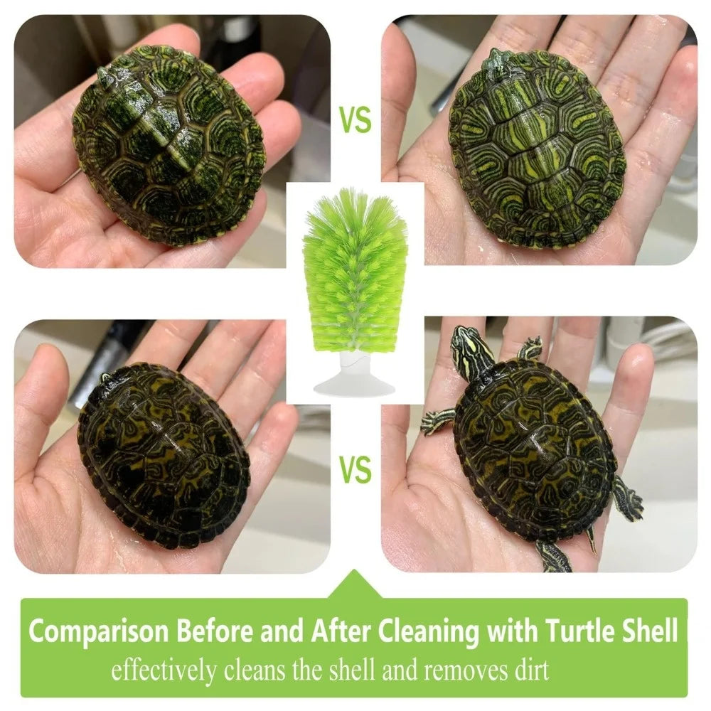 Turtle Shell Cleaning Brush