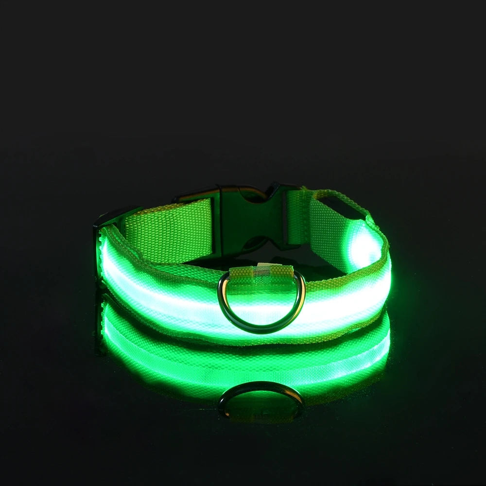 LED Dog Safety Collar — Rechargeable Night Visibility