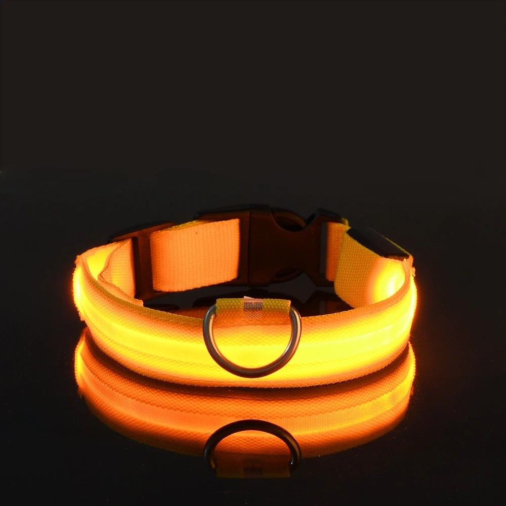 LED Dog Safety Collar — Rechargeable Night Visibility