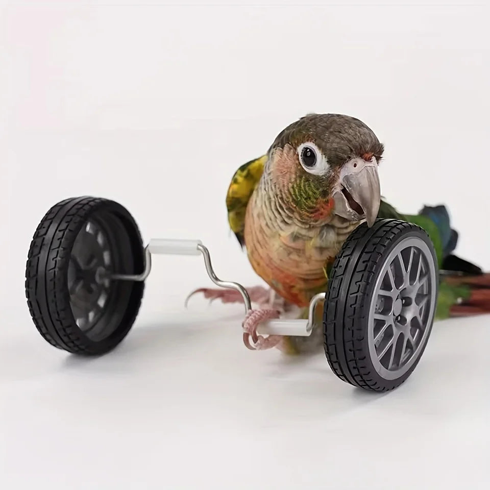 Parrot Balance Mini Bicycle Toy