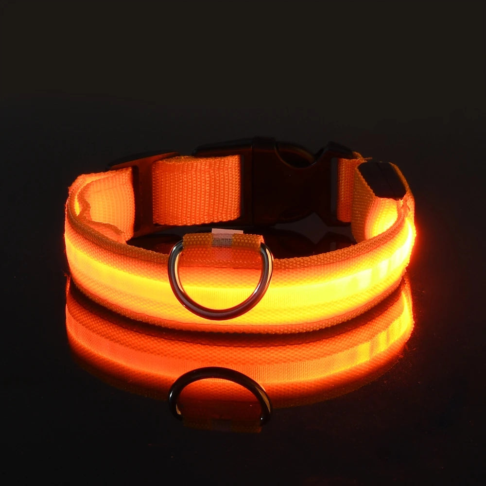 LED Dog Safety Collar — Rechargeable Night Visibility