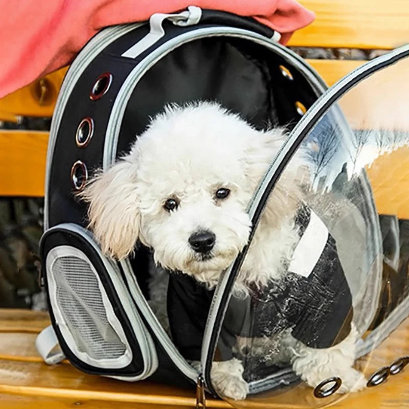 Cat Backpack Carrier — Bubble Window Space Capsule