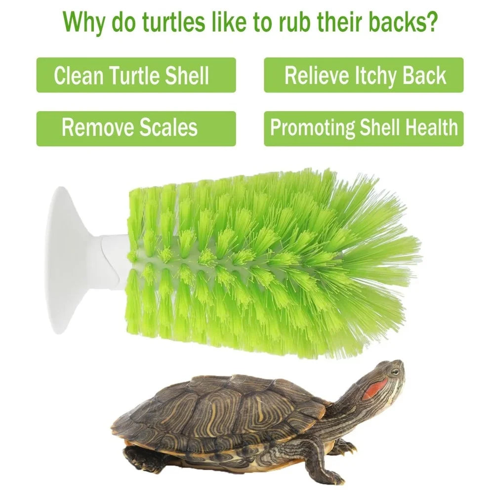 Turtle Shell Cleaning Brush
