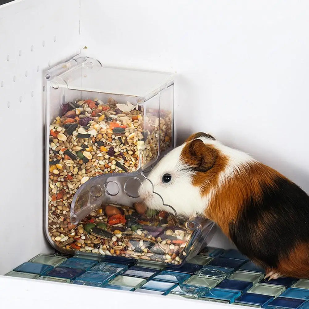 Clear Automatic Hamster Food Dispenser