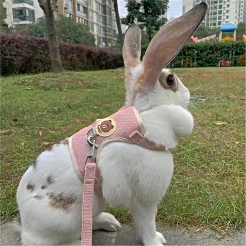 Small Animal Harness & Leash — Rabbit, Guinea Pig, Ferret