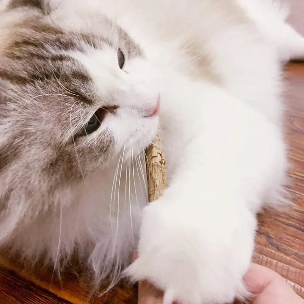 Catnip Toy Set — Matatabi Sticks and Plush Mice