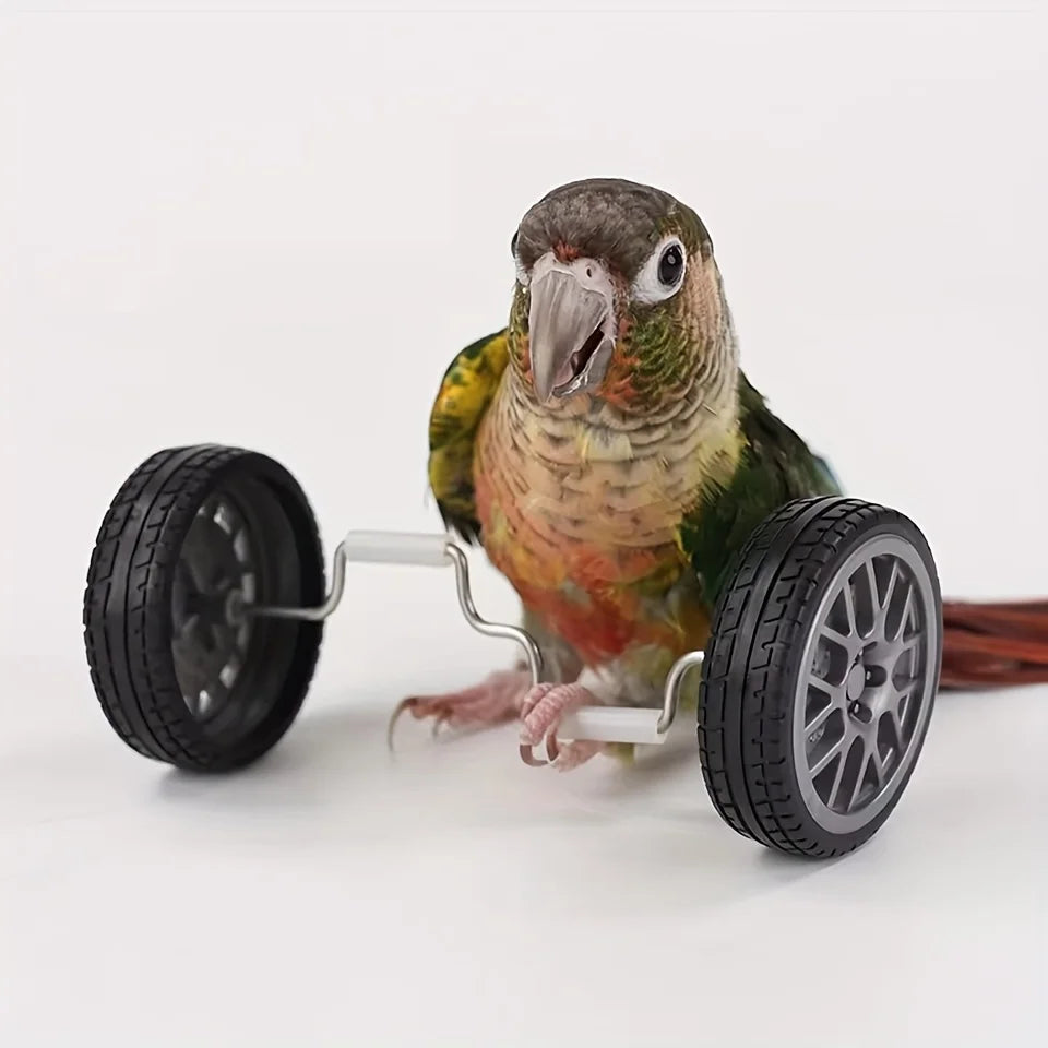 Parrot Balance Mini Bicycle Toy