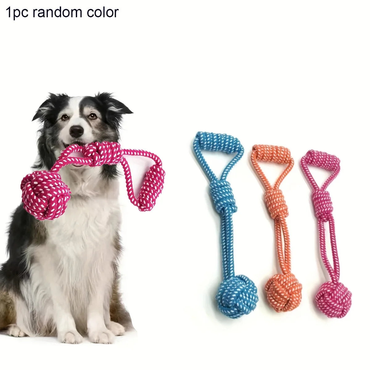 Dog Rope Toy — Braided Chew and Tug