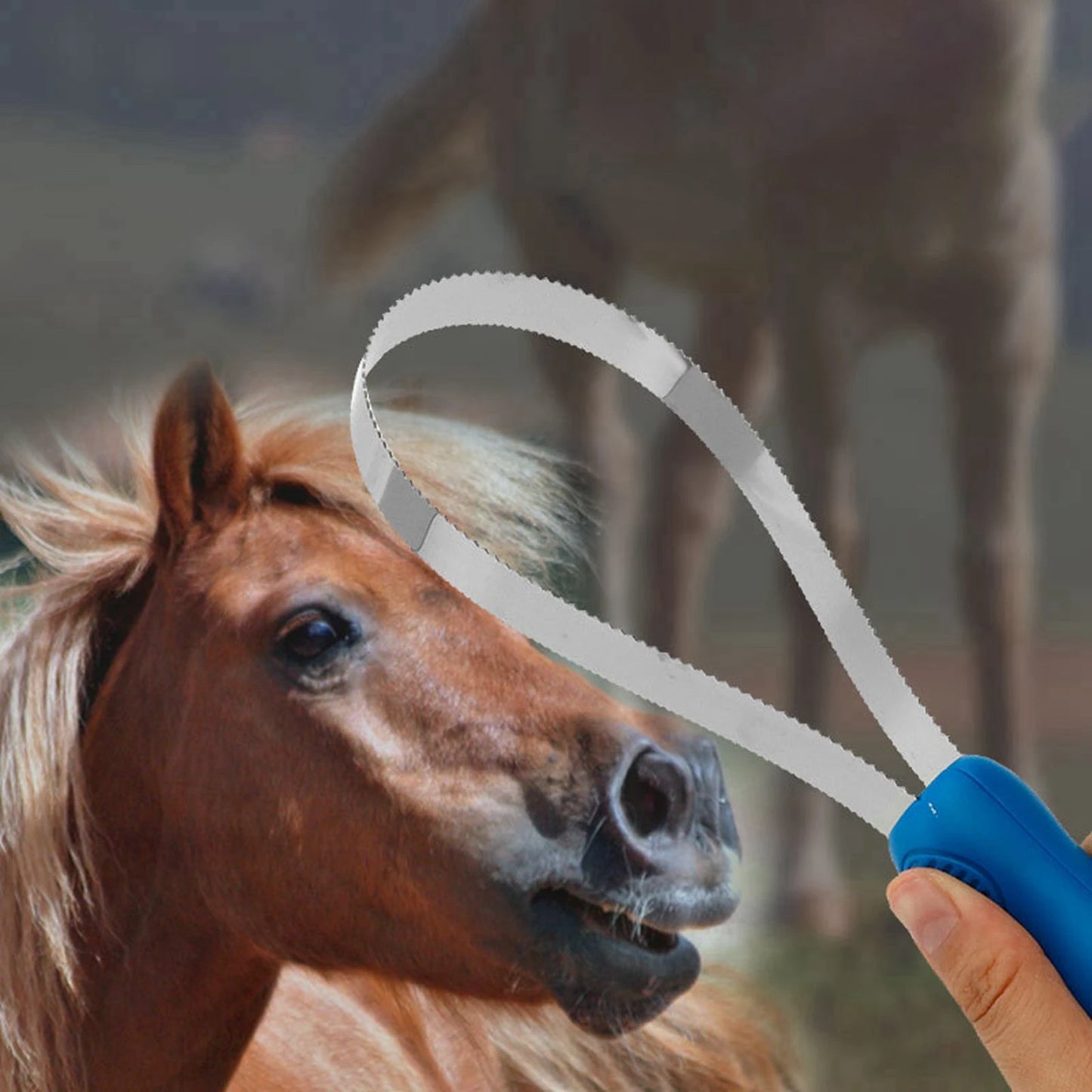 Horse Curry Comb — Equestrian Grooming Brush and Sweat Scraper