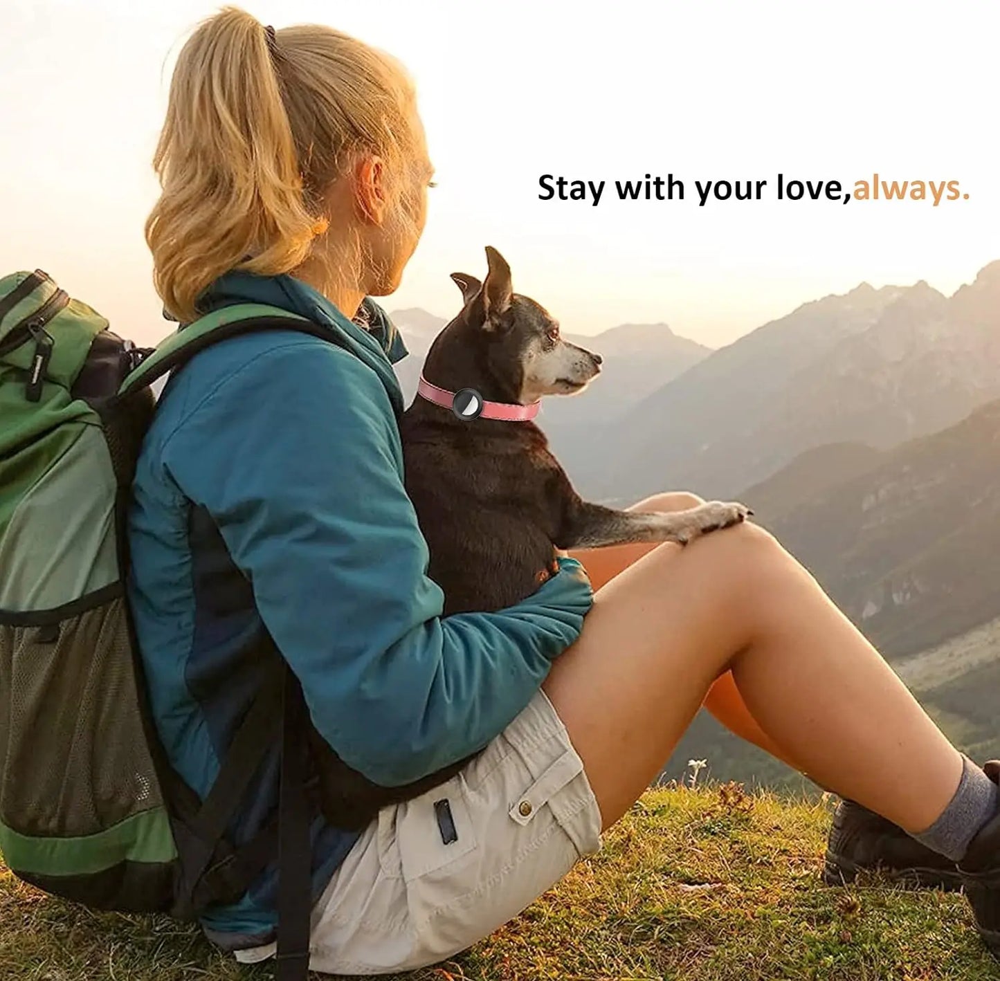 AirTag Pet Collar Holder — Lost Pet Tracker Case for Dogs & Cats