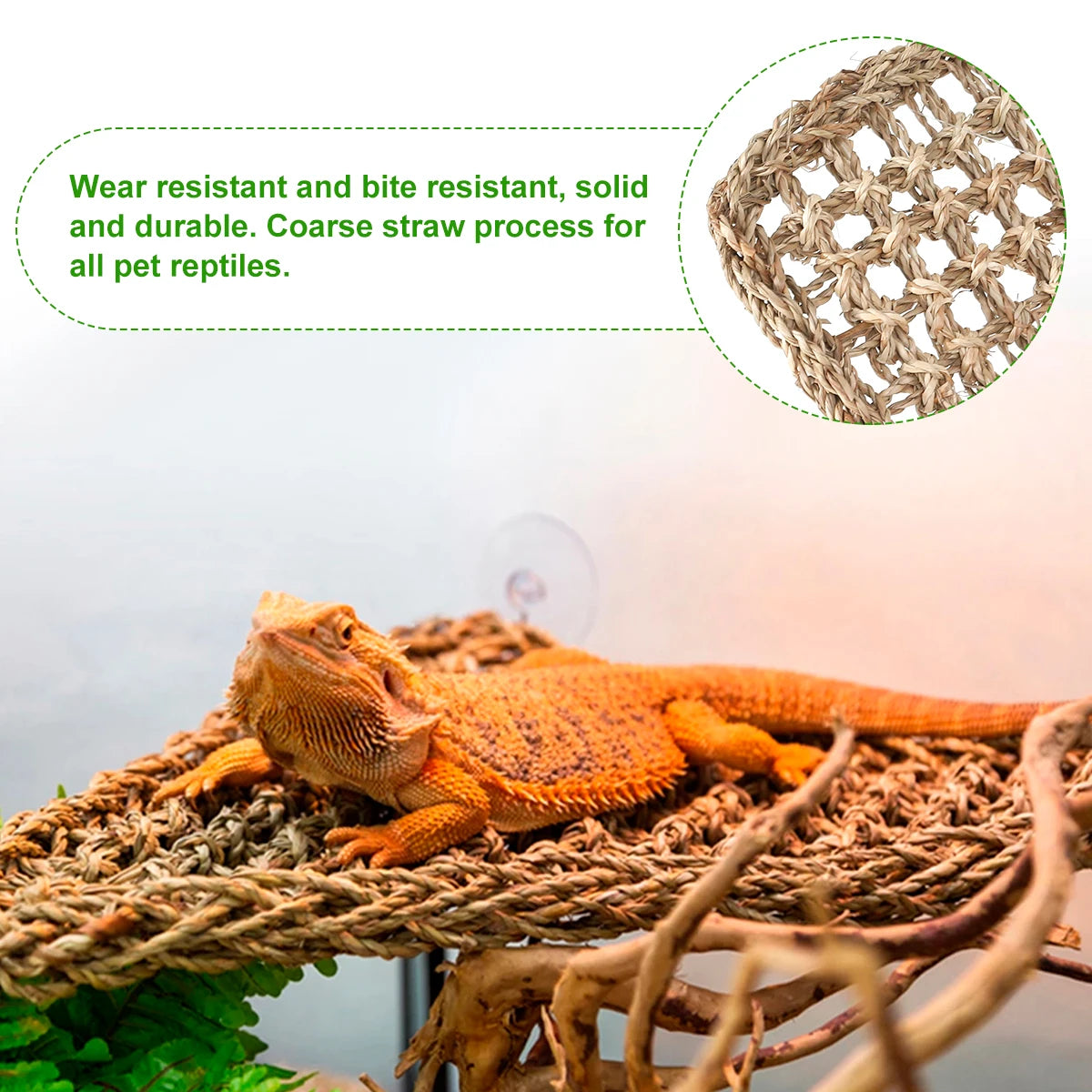 Reptile Hammock Lounger