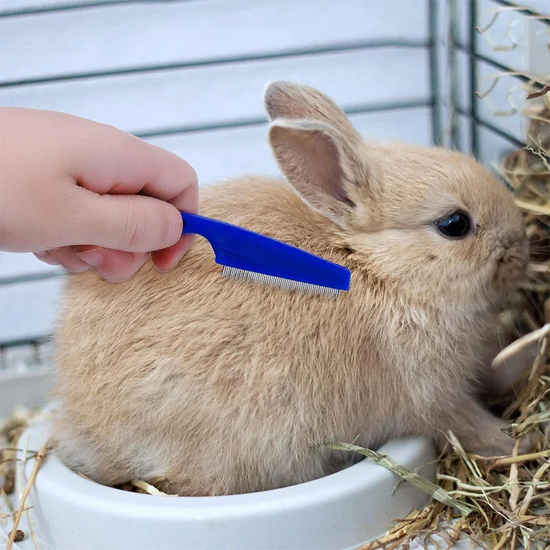 Rabbit Grooming Kit — Brush, Nail Clipper and Bath Tools for Small Animals