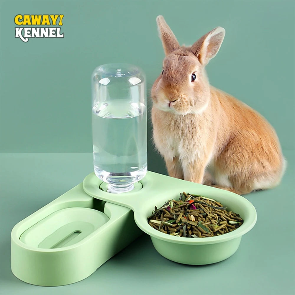 Rabbit and Guinea Pig Raised Feeding Station