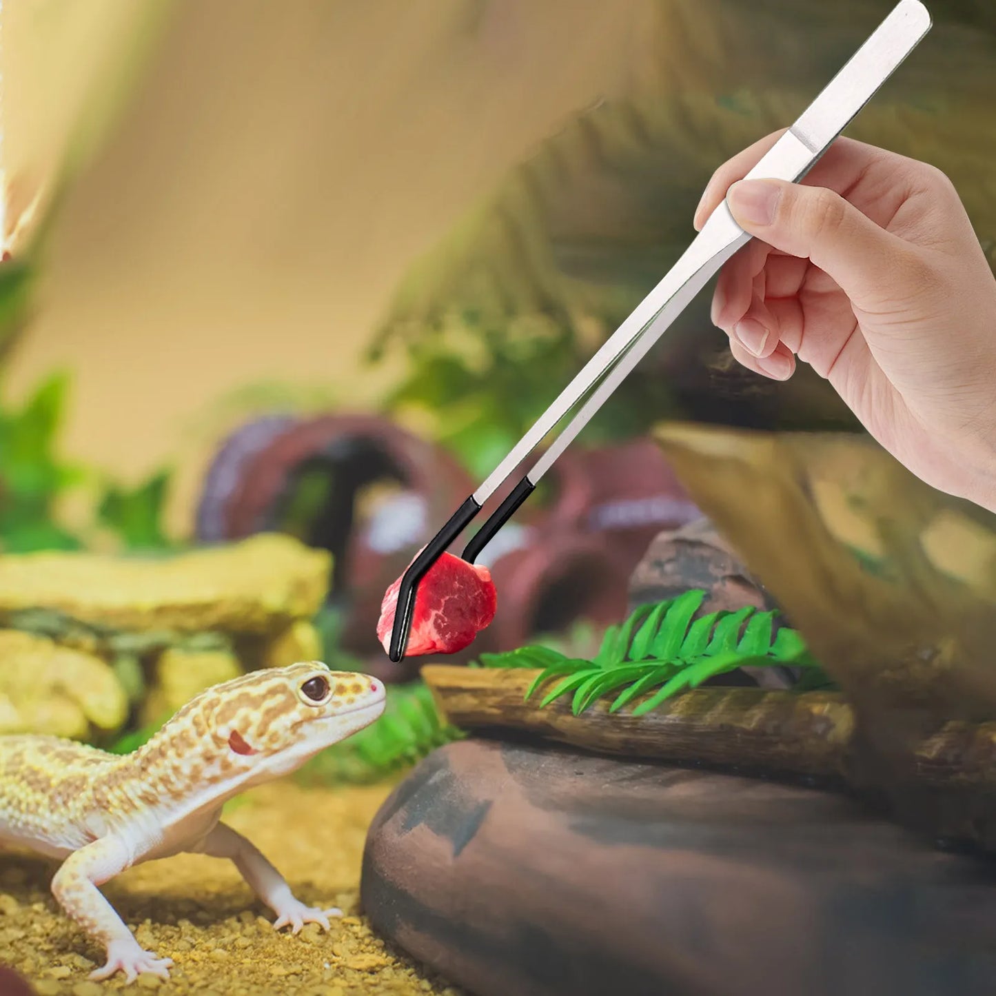 Reptile Feeding Tongs — Stainless Steel Long Tweezers for Lizards, Snakes & Spiders
