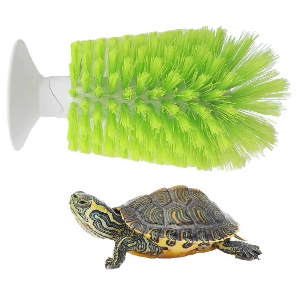 Turtle Shell Cleaning Brush