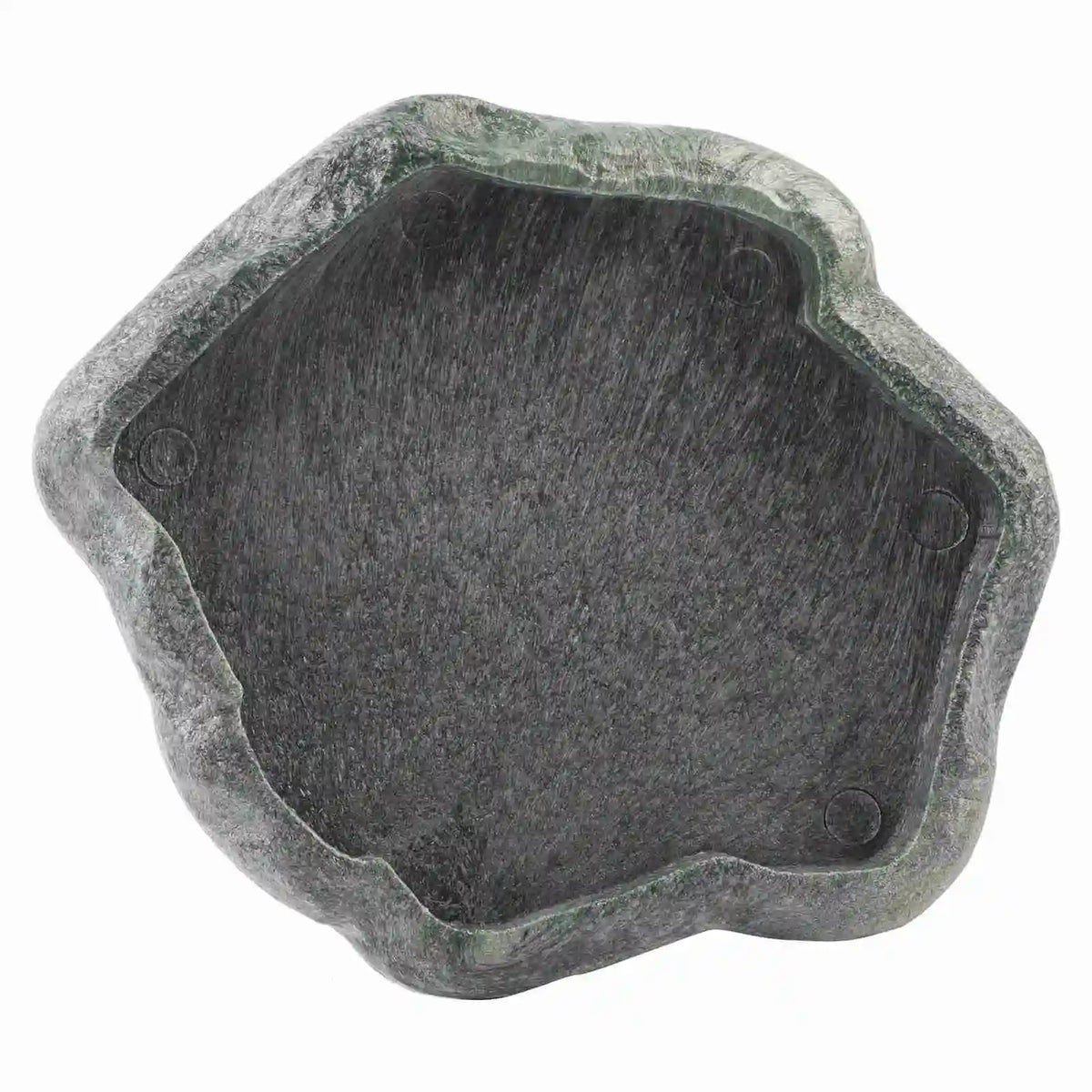 Reptile Rock Water Dish — Resin Feeder Bowl for Lizards & Tortoises
