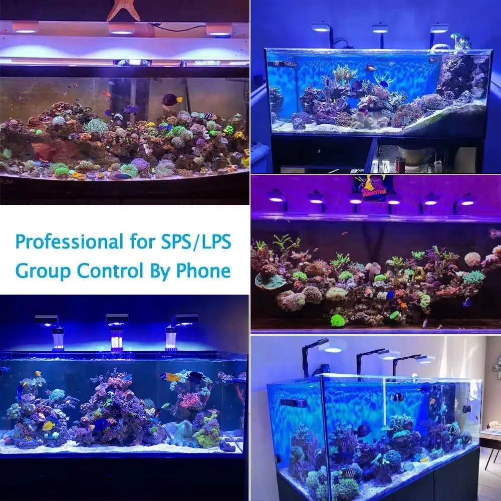 PopBloom RL90 100W WiFi Reef LED Light